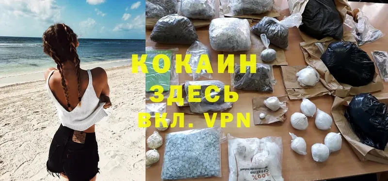 купить   Бежецк  Кокаин Fish Scale 